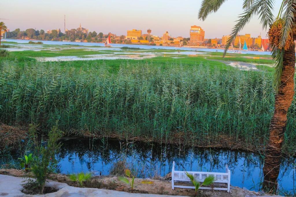 Royal Nile - Nile View 1 *